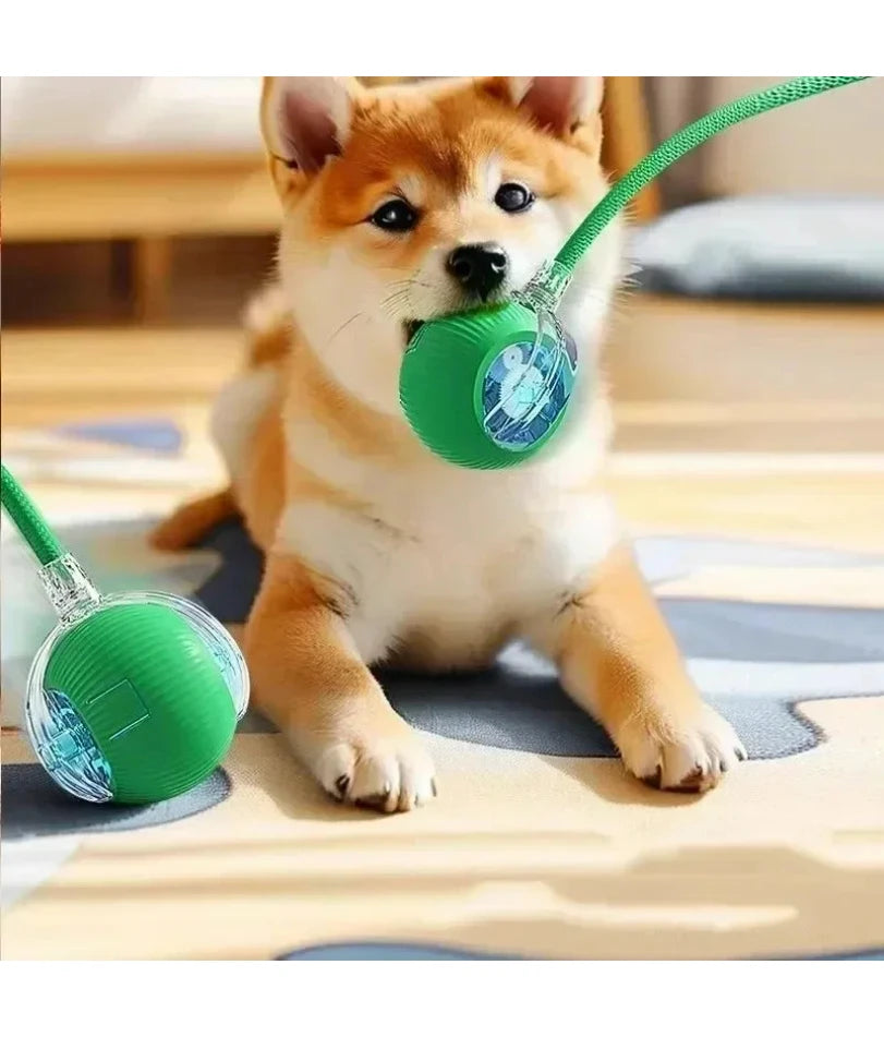 Cat Interactive Ball Toy, Automatic Rolling Ball with Tail, Rechargeable Smart Pet